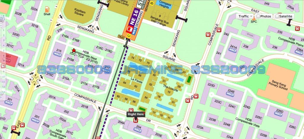 Blk 204D Compassvale Drive (Sengkang), HDB Executive #100636382